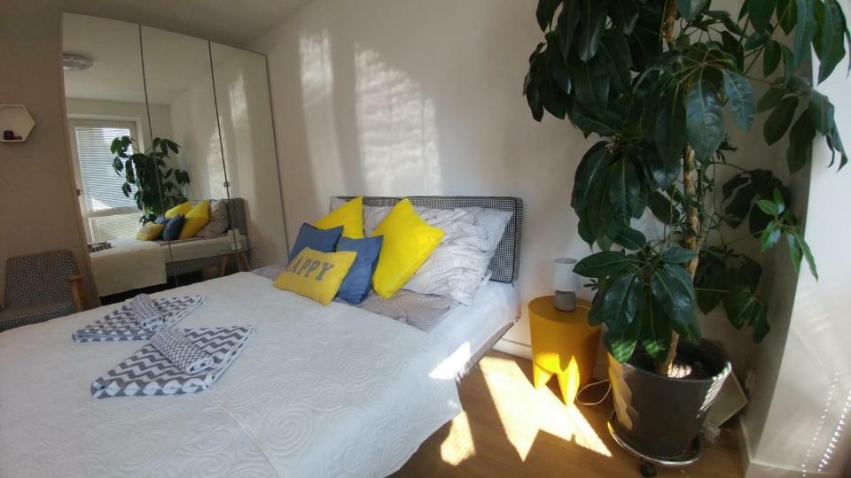 Apartament Centrum Augustów Εξωτερικό φωτογραφία
